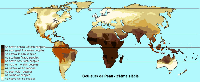 Distribution des différentes couleurs de Peau