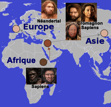 Migration de Sapiens Cro-Magnon et Néandertal