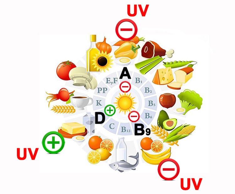 Soleil vitamines pigmentation